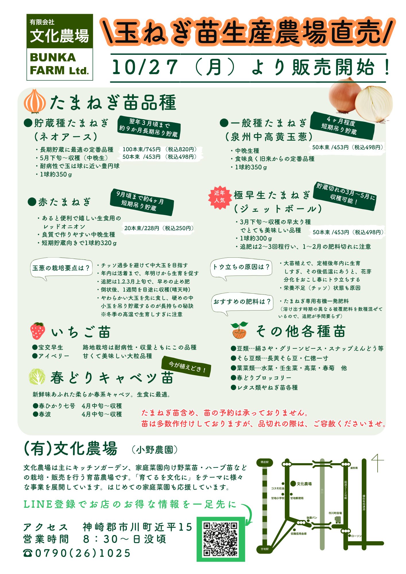 玉ねぎ苗販売開始のお知らせ | お知らせ | 文化農場